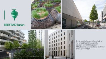 Angenommen Walter Kirchner   Natur In Der Stadt